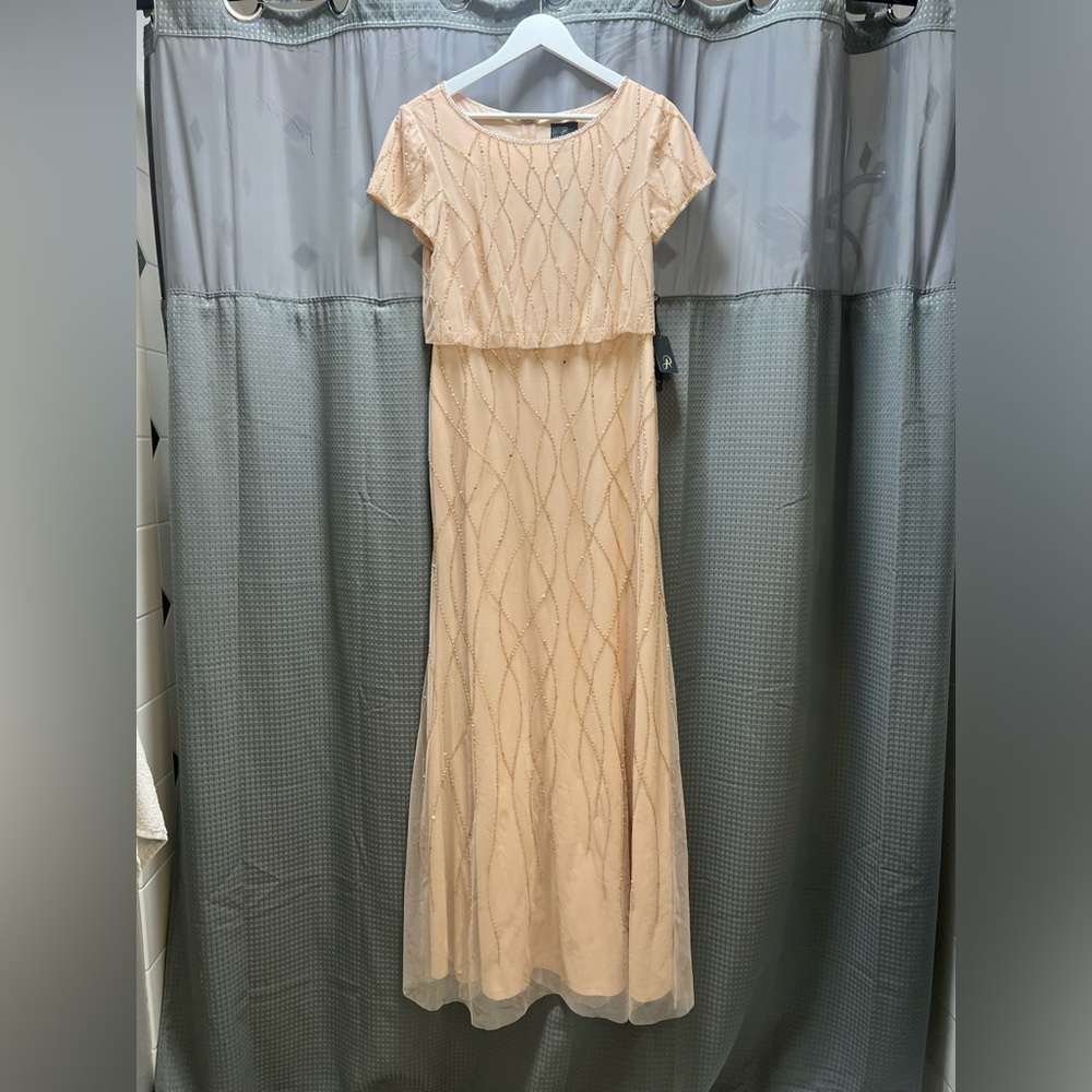 Adrianna Papell Blush Pink Gown - Picture 8 of 15
